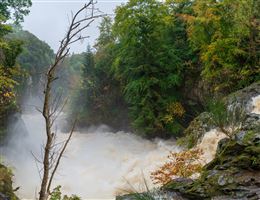 Looking downstream on the River Isla with the very top of the falls just in view.
Photography by Malcolm J Smith