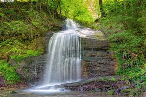 Taken after climbing up the falls, lovely little spot to sit and listen to birds singing and the water going over the falls 
Photography by Malcolm J Smith