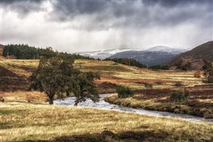 Taken in Glenshee along Clunie Water

Photography by Malcolm J Smith