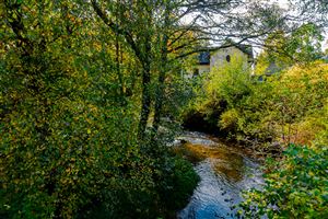 Sunlight through the autumn colours on the tress with the old mill as a backdrop.

Photography by Malcolm J Smith