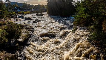 Lovely autumn sunshine on the Falls of Dochart in Killin
Photography by Malcolm J Smith