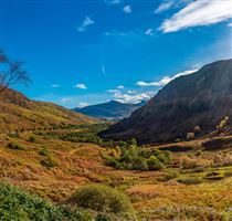 Autumn sunshine lighting up the glen
Photography by Malcolm J Smith