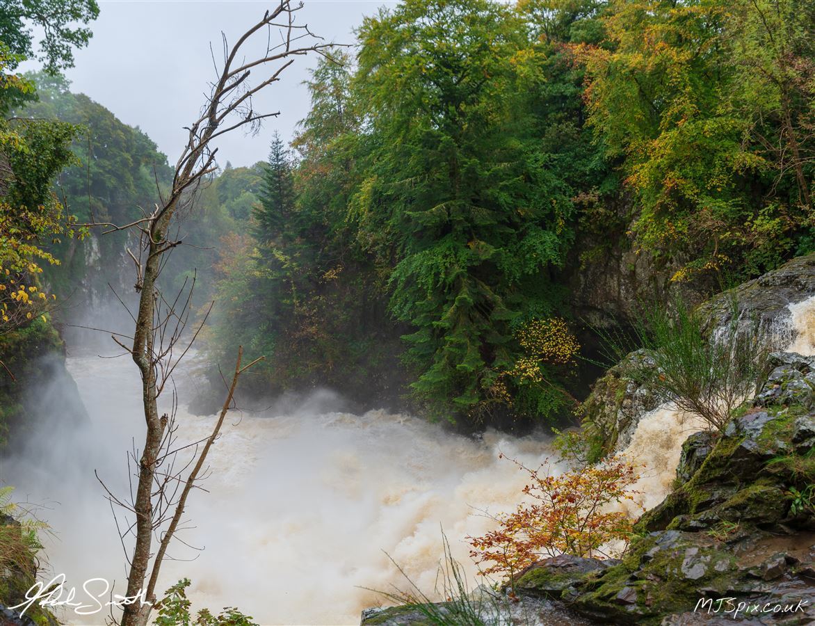 Looking downstream on the River Isla with the very top of the falls just in view.
Photography by Malcolm J Smith