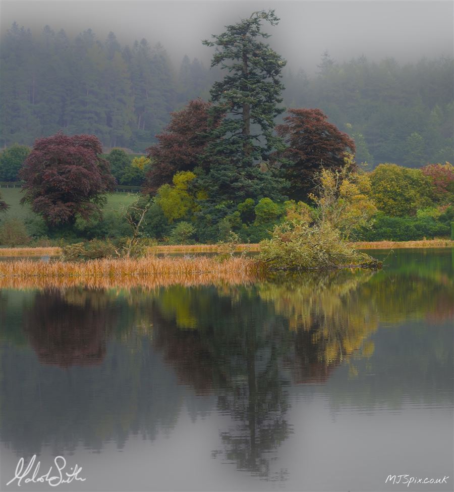 Autumn in Perthshire Woodlands
Photography by Malcolm J Smith