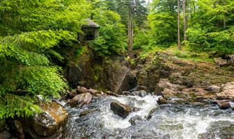 Shots from a walk around The Hermitage by Dunkeld